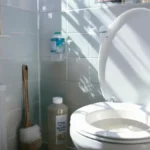 כולם עושים את הטעות הזו כשמנקים את השירותים